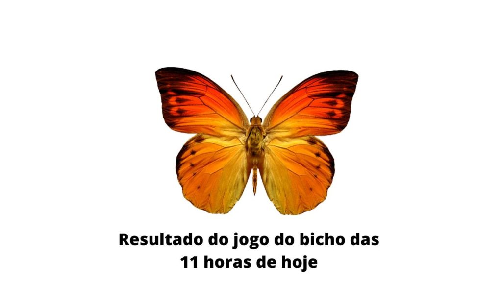 Resultado do jogo do bicho das 11 horas de hoje 26-03-2020
