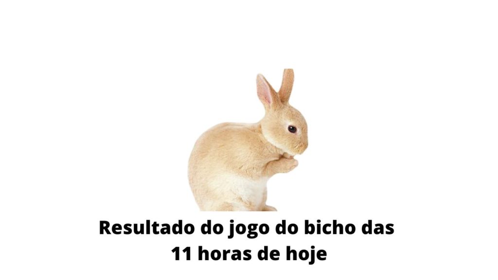 Resultado do jogo do bicho das 11 horas de hoje 28-03-2020