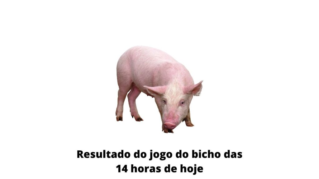Resultado do jogo do bicho das 14 horas de hoje 17-03-2020