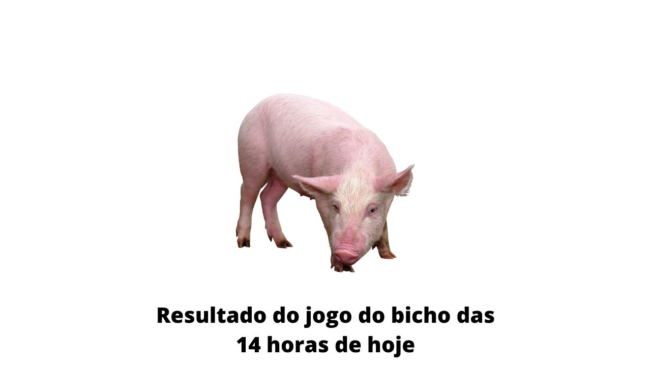 Resultado do jogo do bicho das 14 horas de hoje 17-03-2020