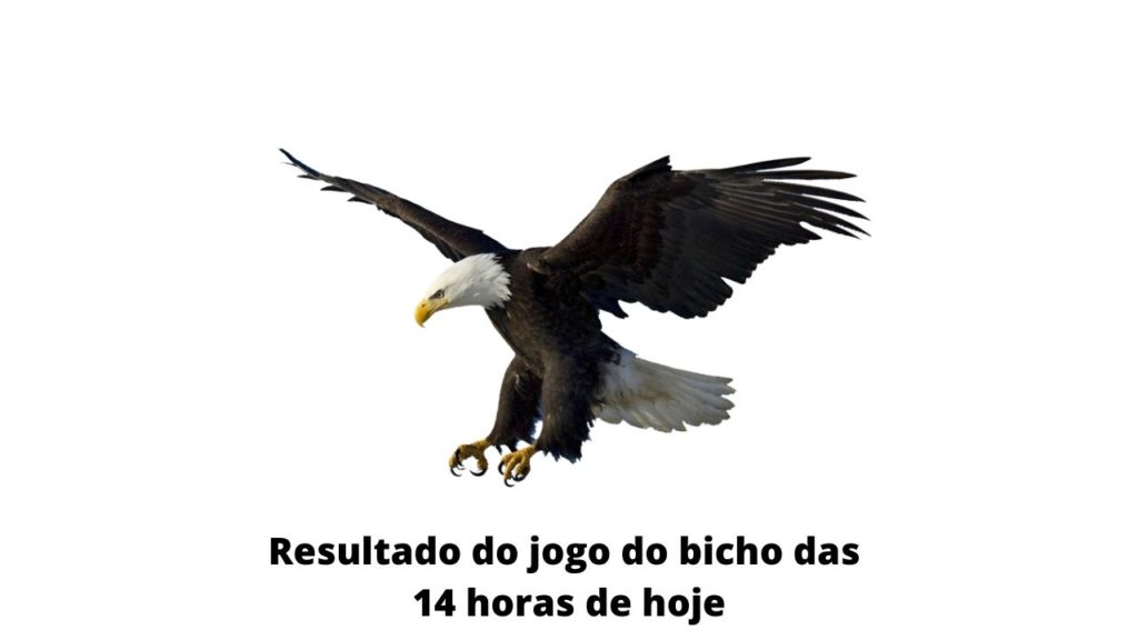 Resultado do jogo do bicho das 14 horas de hoje 24-03-2020