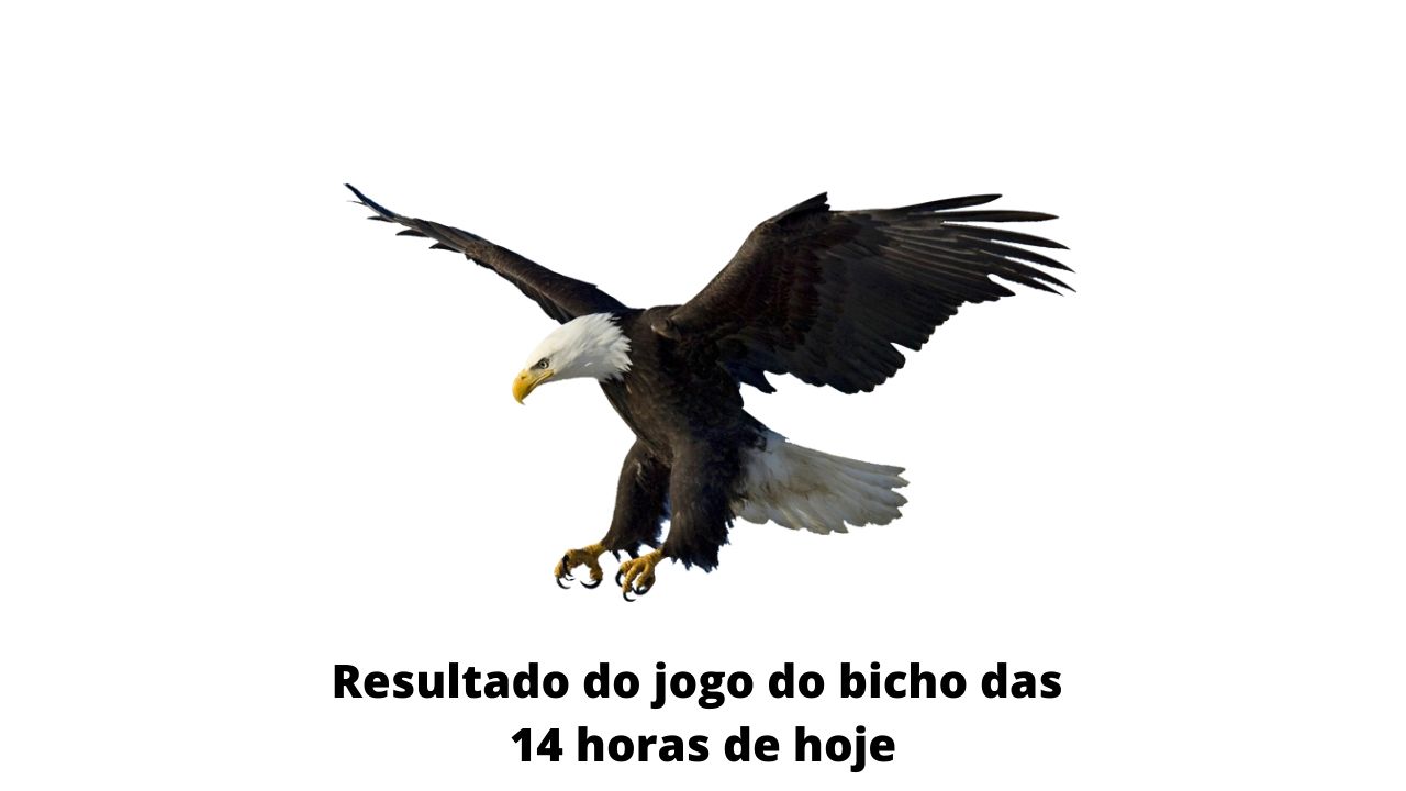 Resultado do jogo do bicho das 14 horas de hoje 27-03-2020