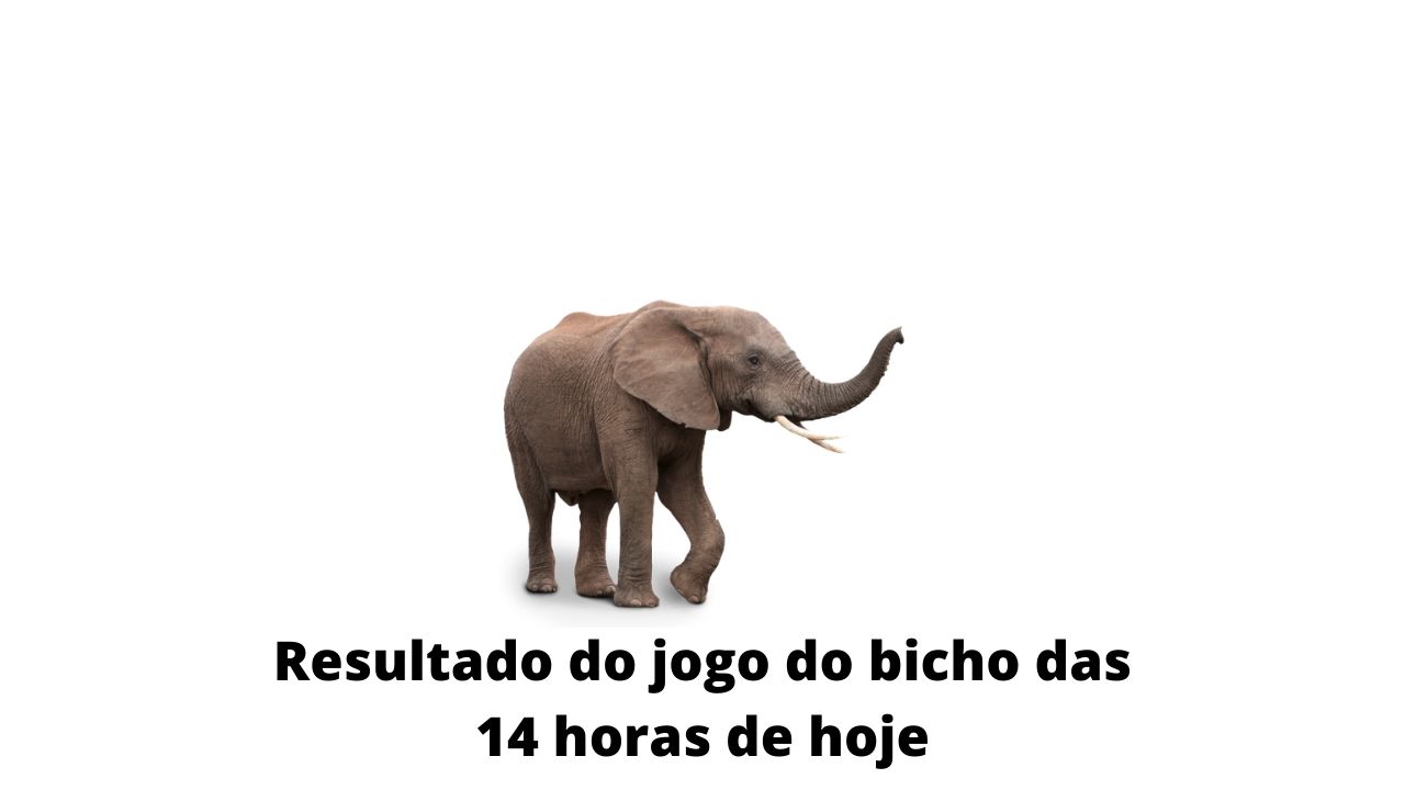 Resultado do jogo do bicho das 14 horas de hoje 28-03-2020