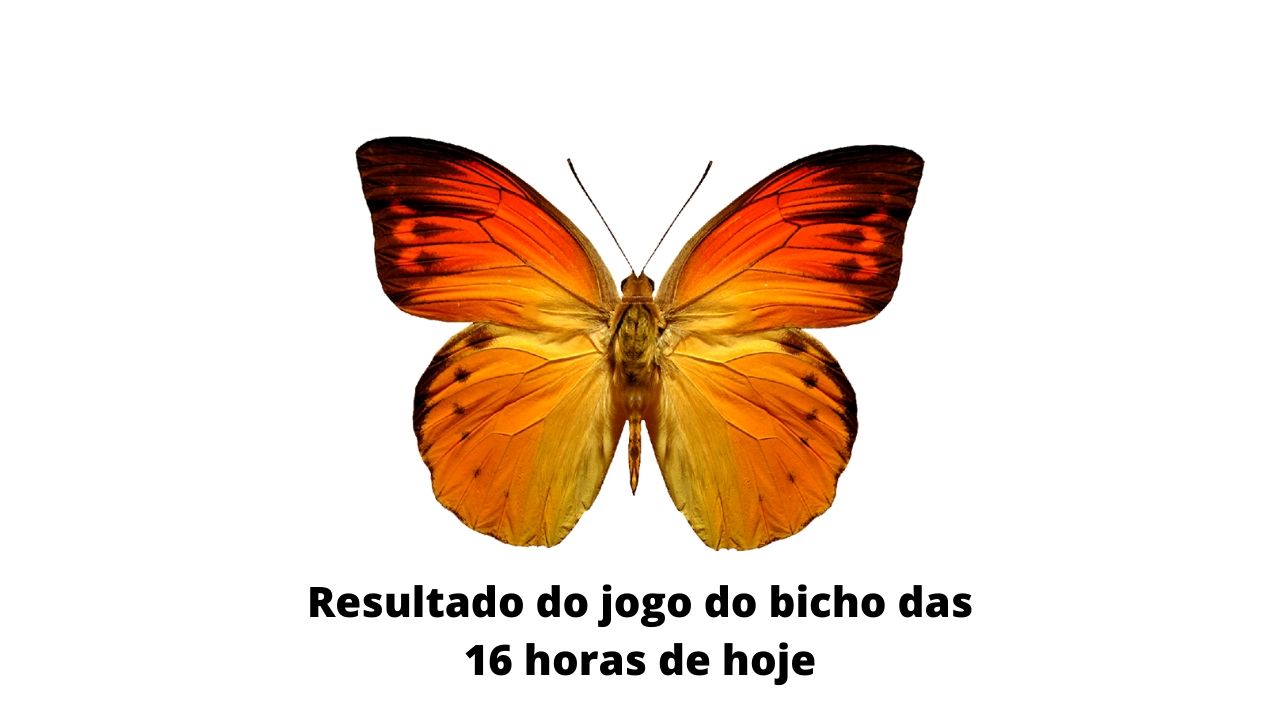 Resultado do jogo do bicho das 16 horas de hoje 17-03-2020