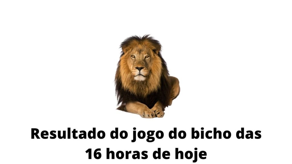 Resultado do jogo do bicho das 16 horas de hoje 21-03-2020