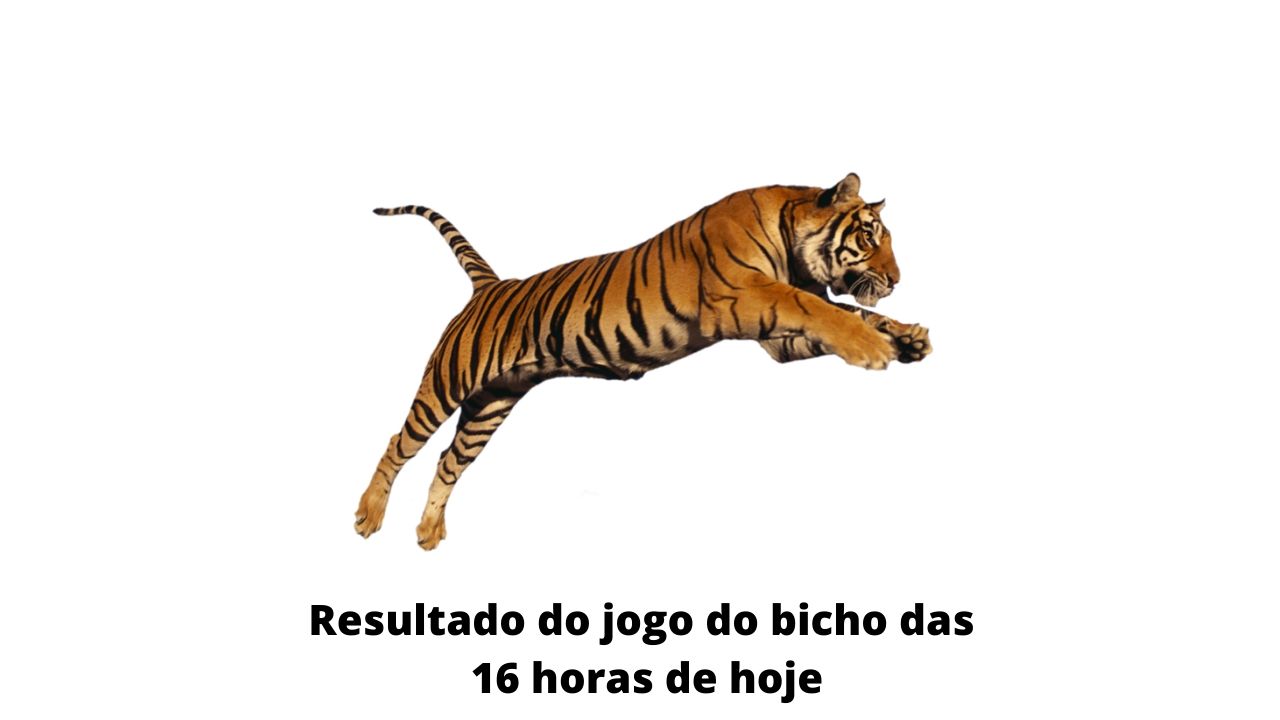 Resultado do jogo do bicho das 16 horas de hoje 28-03-2020