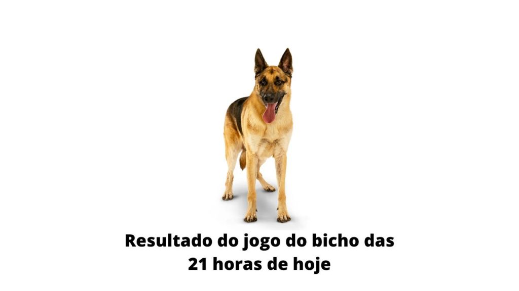 Resultado do jogo do bicho das 21 horas de hoje 24-03-2020