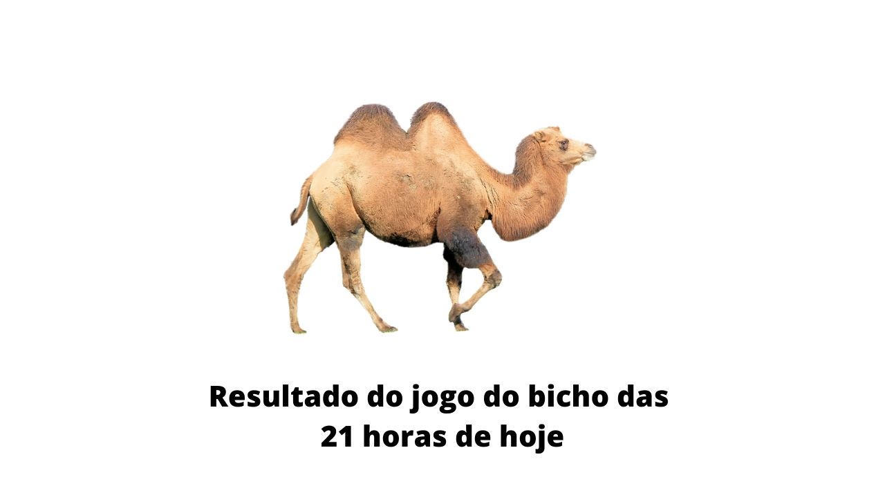 Resultado do jogo do bicho das 21 horas de hoje 27-03-2020