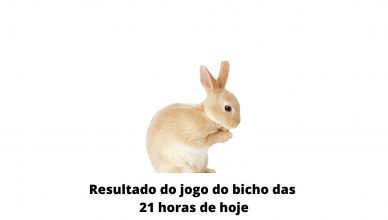Resultado do jogo do bicho das 21 horas de hoje 31-03-2020