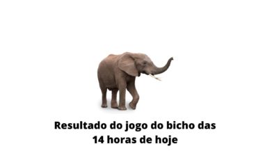 Resultado do jogo do bicho das 14 horas de hoje 07-04-2020