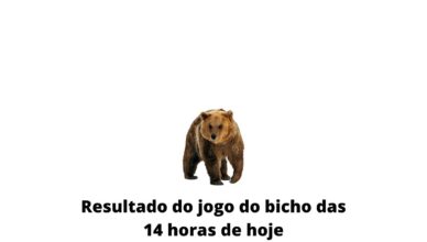 Resultado do jogo do bicho das 14 horas de hoje 08-04-2020