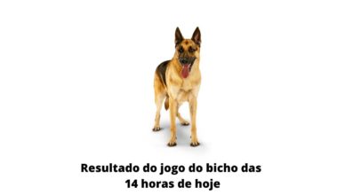 Resultado do jogo do bicho das 14 horas de hoje 11-04-2020