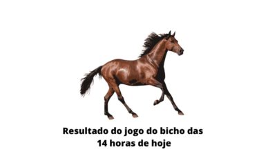 Resultado do jogo do bicho das 14 horas de hoje 12-04-2020