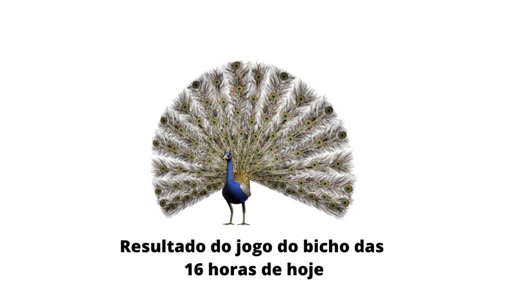 Resultado do jogo do bicho das 16 horas de hoje 01-04-2020