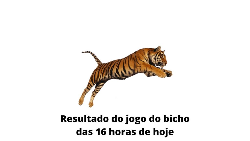 Resultado do jogo do bicho das 16 horas de hoje 04-04-2020