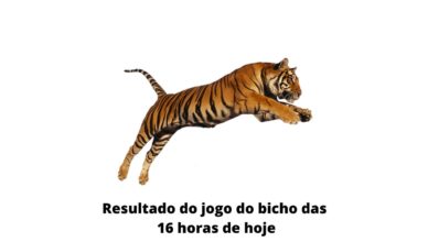 Resultado do jogo do bicho das 16 horas de hoje 13-04-2020