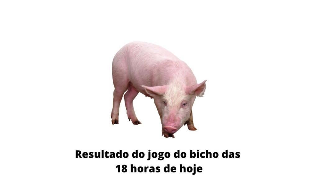 Resultado do jogo do bicho das 18 horas de hoje 01-04-2020