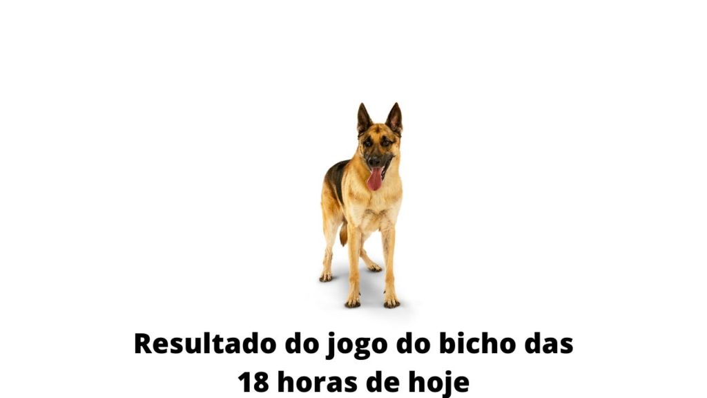 Resultado do jogo do bicho das 18 horas de hoje 09-04-2020