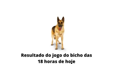 Resultado do jogo do bicho das 18 horas de hoje 09-04-2020