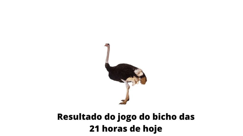 Resultado do jogo do bicho das 21 horas de hoje 11-04-2020