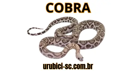 Palpite Jogo do Bicho de Hoje dia 15-09-2024 Noite