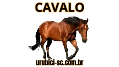 Palpite Jogo do Bicho de Hoje dia 20-09-2024