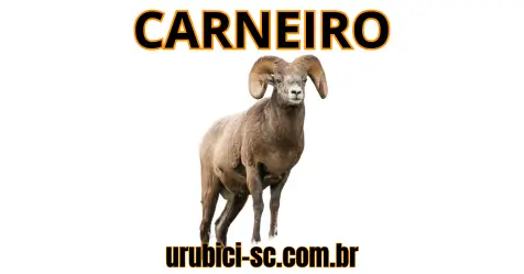 Palpite Jogo do Bicho de Hoje dia 21-09-2024 Noite