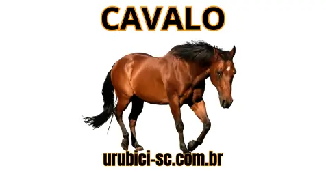 Palpite Jogo do Bicho de Hoje dia 22-09-2024 Noite