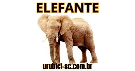 Palpite Jogo do Bicho de Hoje dia 22-09-2024