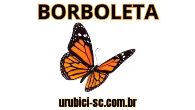 Palpite Jogo do Bicho de Hoje dia 25-09-2024 Noite