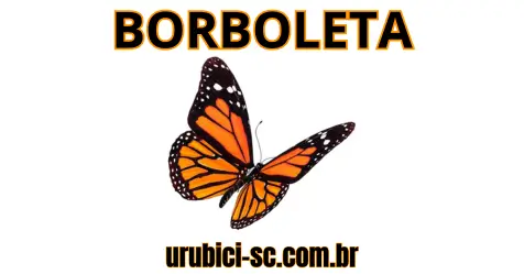 Palpite Jogo do Bicho de Hoje dia 03-10-2024 Noite