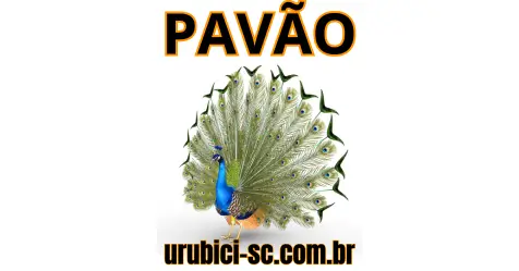 Palpite Jogo do Bicho de Hoje dia 06-10-2024 Noite