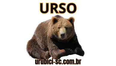 Palpite Jogo do Bicho de Hoje dia 15-10-2024 Noite