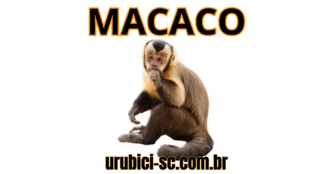 Palpite Jogo do Bicho de Hoje dia 15-10-2024 Tarde Palpite Jogo do Bicho de Hoje dia 15-10-2024 Tarde