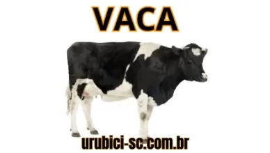 Palpite Jogo do Bicho de Hoje dia 17-10-2024